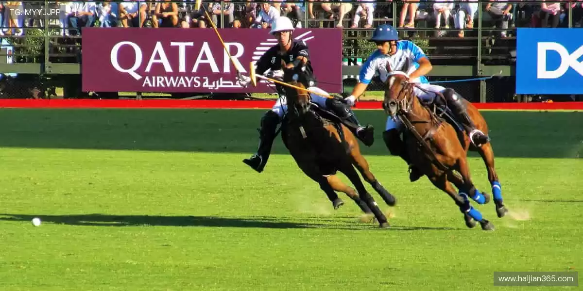 🎯运动装备,潮流周边,一站式满足你的热爱!